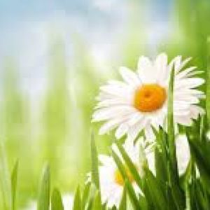 Meet your Posher, Annabel